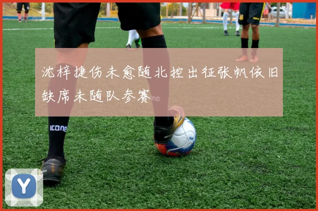 沈梓捷伤未愈随北控出征张帆依旧缺席未随队参赛