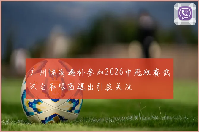 广州悦高递补参加2026中冠联赛武汉合和绿茵退出引发关注