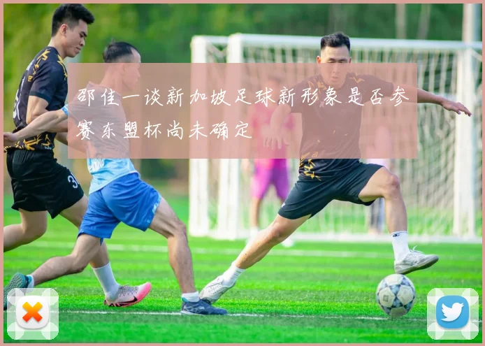 邵佳一谈新加坡足球新形象是否参赛东盟杯尚未确定